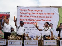 Moeldoko Panen Jagung di Tanjab Timur